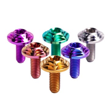 Grade 5 Titanium Flower Head Flange Bolts with Torx Drive