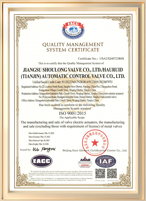 ISO9001-Neu(1)