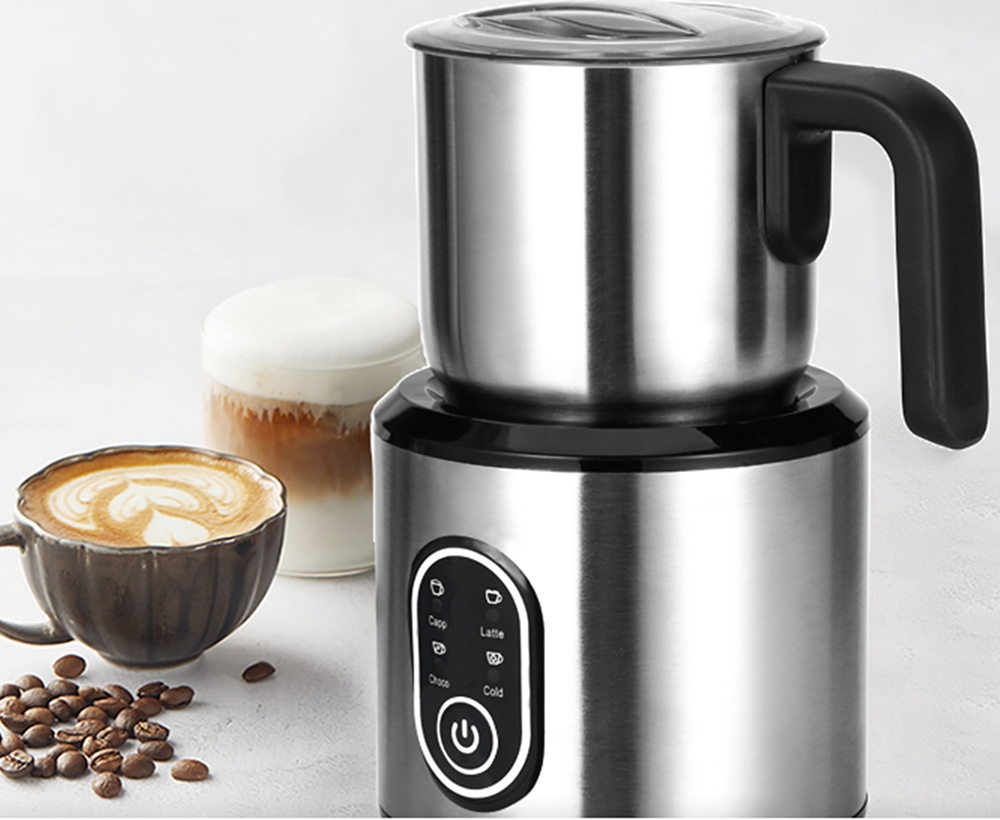Milk Frother-101