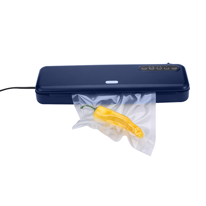 OEM vacuum sealer factory.jpg