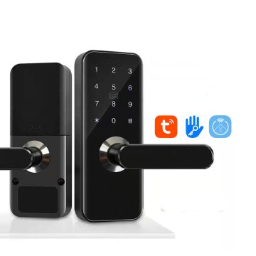 中国工厂智能门锁，支持TTlock蓝牙和涂鸦WiFi——顶级供应商出品的无钥匙进入系统