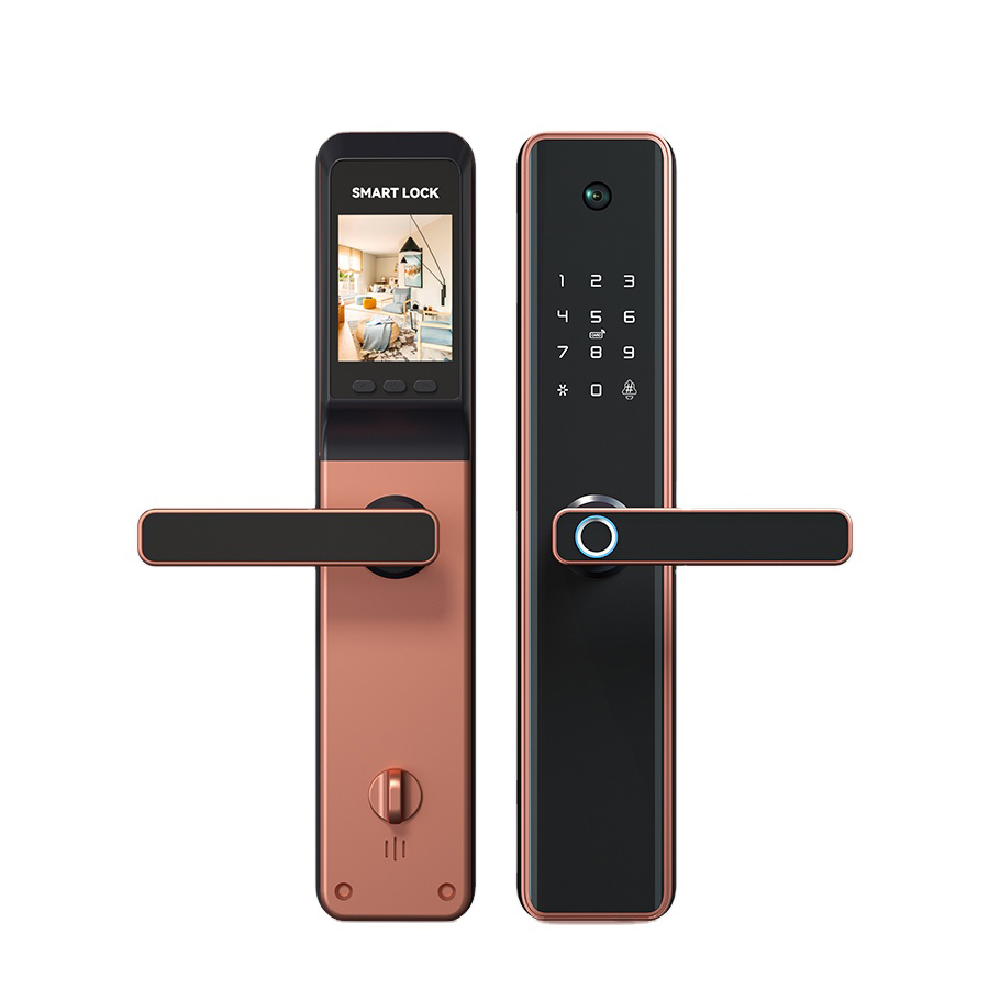 Camera Smart Lock with Finger Scan Supporting Tuya WiFi or Zigbee FM551