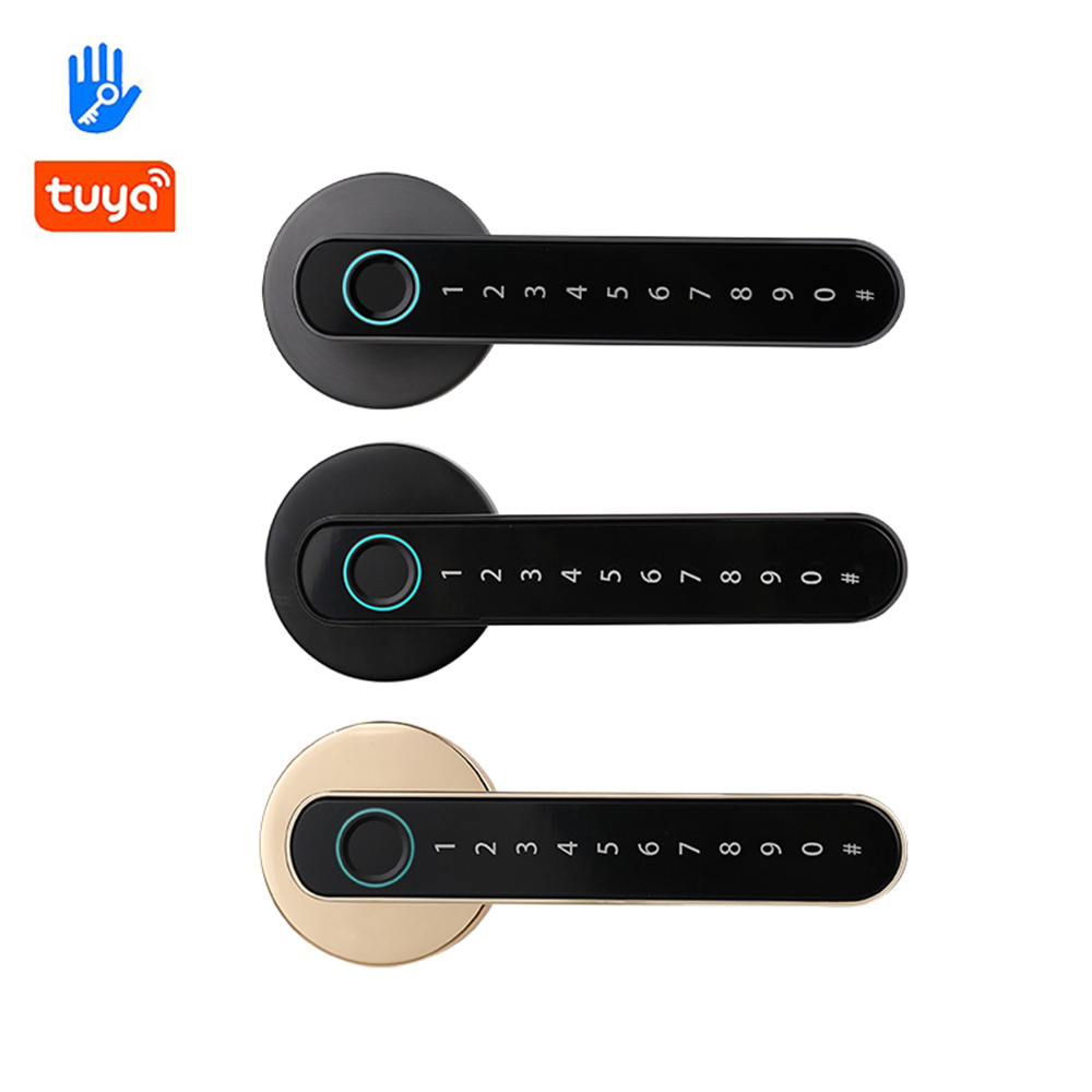 Bluetooth Lever Lock unlock by fingerprint recognition, password and App eKeys T8