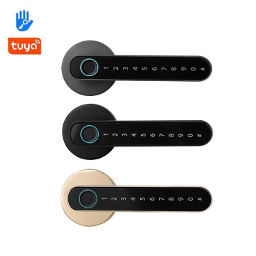 中国工厂供应商蓝牙门锁 - 指纹、密码和App eKeys解锁 T8，适用于住宅和出租物业