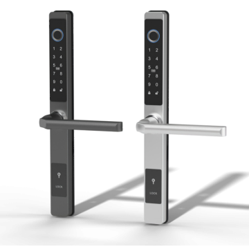 Ultra Narrow 30mm Smart Lock Aluminum Heritage Door FM231