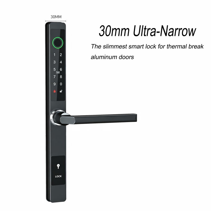 适用于铝合金门的智能锁，采用 30mm 超窄型材，支持指纹识别和 IP65 防水等级 FM231