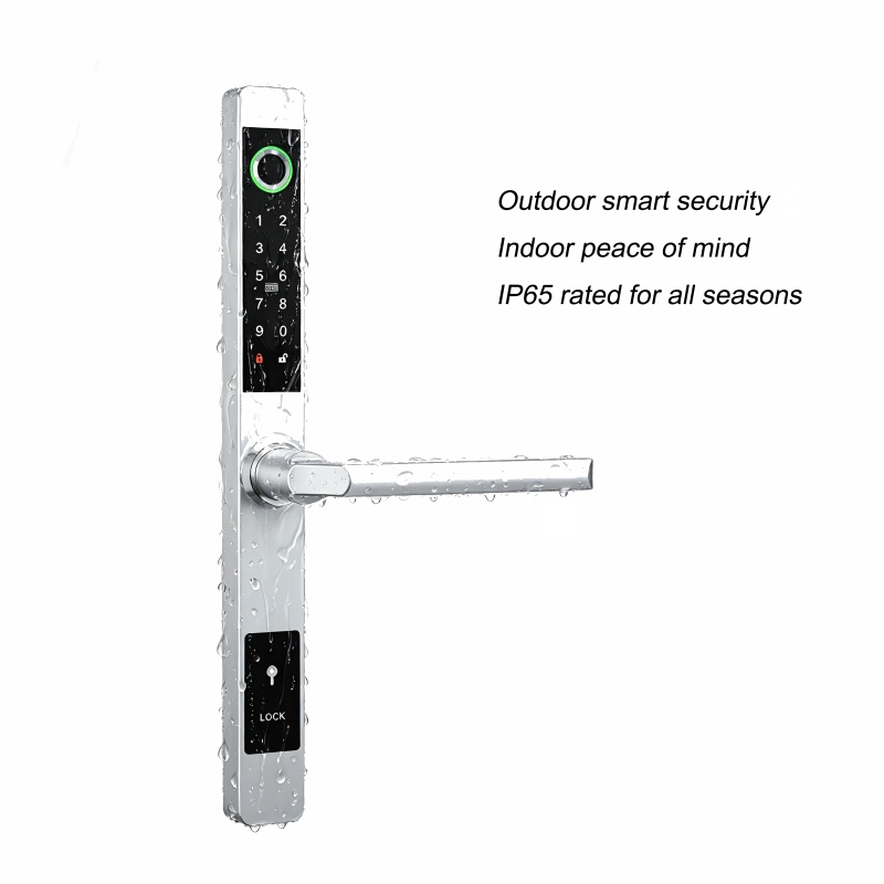 Smart Lock for Aluminum Doors 4.jpg