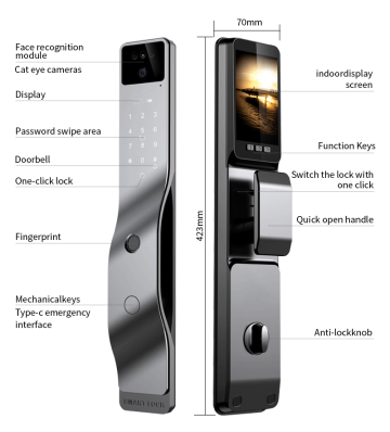 Swiss Luxury Residence 3D Face Recognition Door Lock