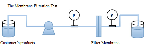 Type Selection Test (2)