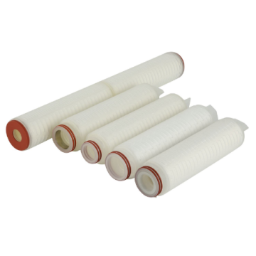 Superior Chemical Compatibility 10" 20" Hydrophilic PTFE Filter for Food
