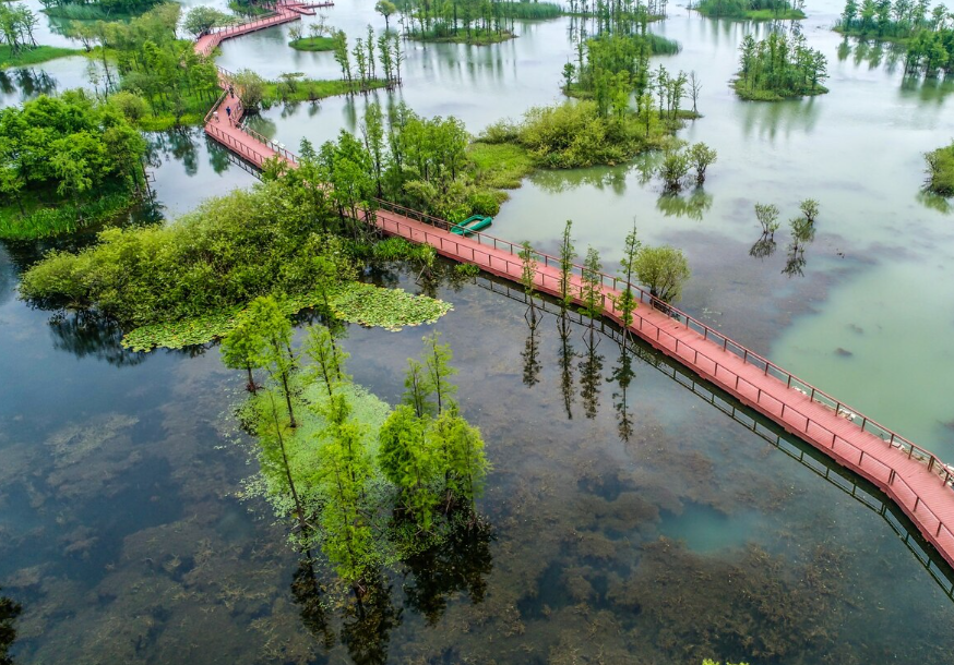 Gestion de la biosécurité et de la qualité microécologique de l'eau pour l'aquaculture intensive terrestre