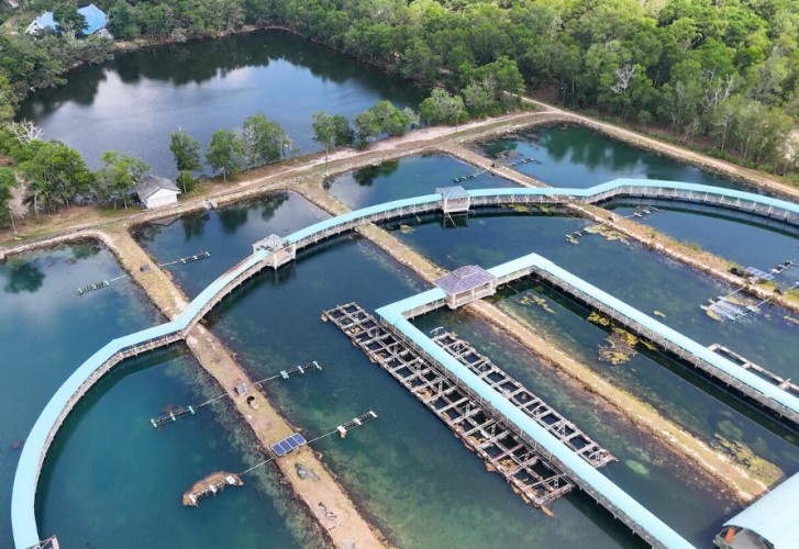 Zero-Residue Biosecurity and Water Quality Control Solution for Land-Based Recirculating Aquaculture Systems (RAS)