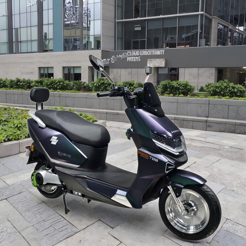Elektromotorrad T08.jpg