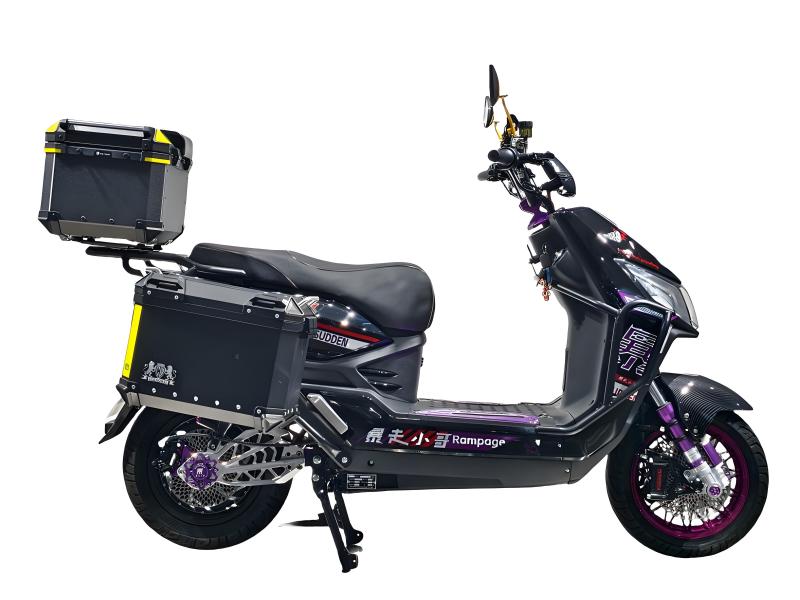 Ist das elektrische Lastenmotorrad für den Langzeiteinsatz auf Großhandelsmärkten geeignet?