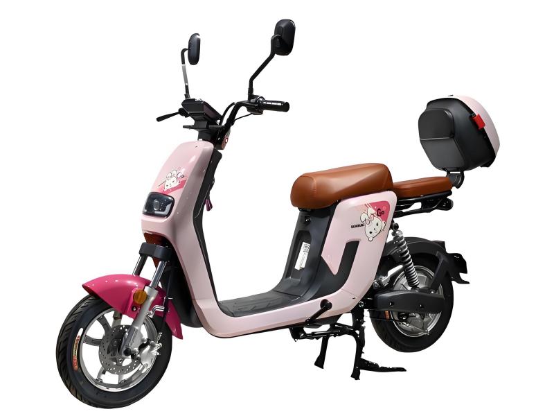 Qual è la capacità di carico della bicicletta elettrica Pure Ev?