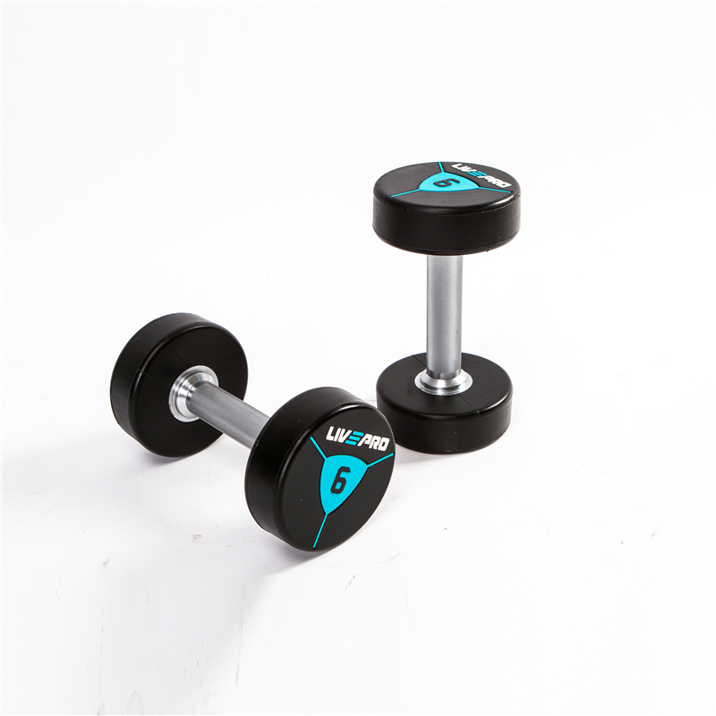 Premium Urethane Dumbbells (2).jpg