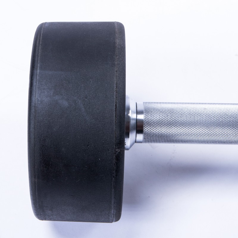 Premium Urethane Dumbbells (4)
