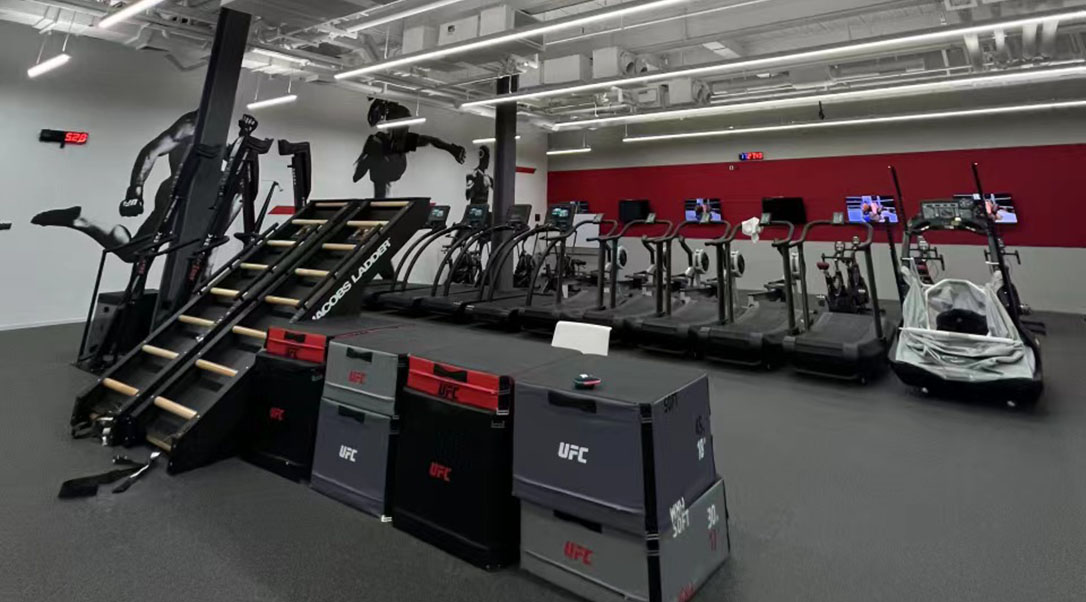 UFC Elite Training