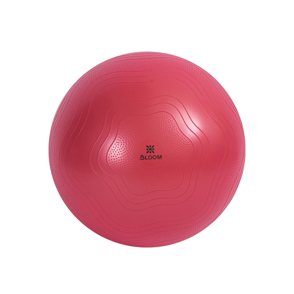 LB7051 Anti-Burst Exercise Ball