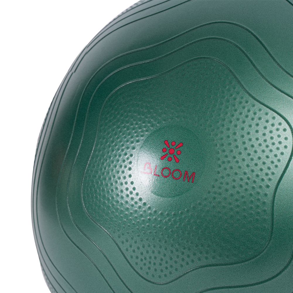 LB7051 Anti-Burst Exercise Ball (5).jpg