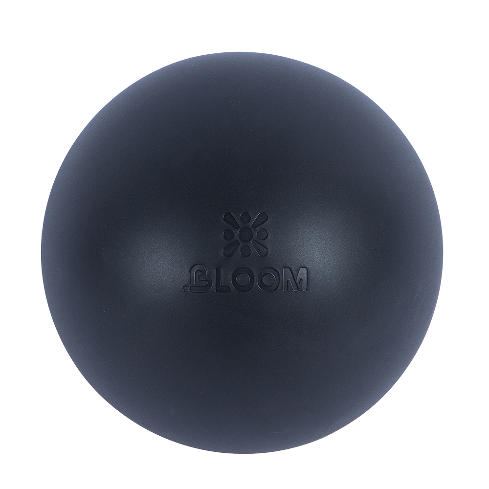LB7003 Premium Pilates Ball