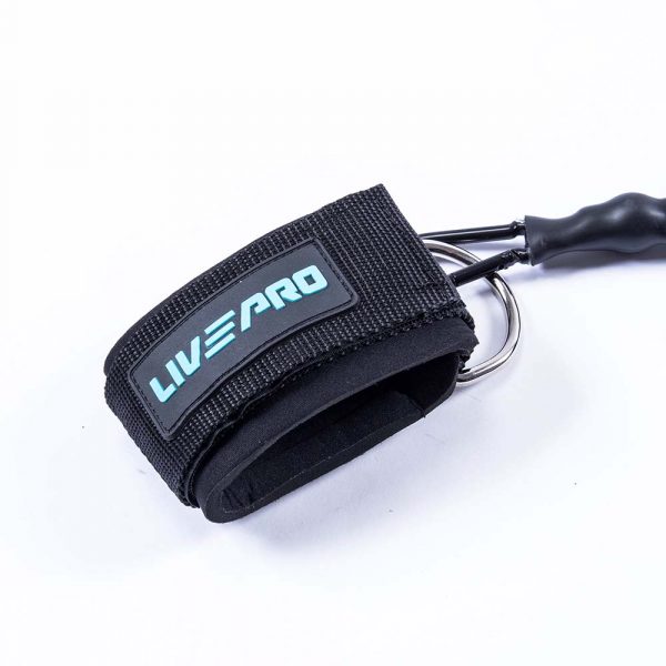 LP8427-3.jpg