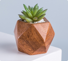Woodenhyy