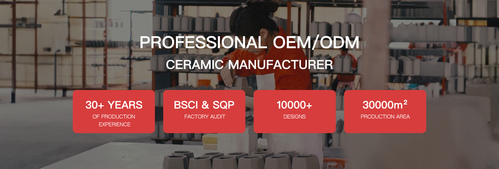 Professional OEM/ODM Ceramic Manufacturer
