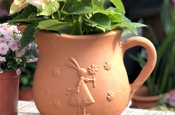 How to choose ceramic flower pots