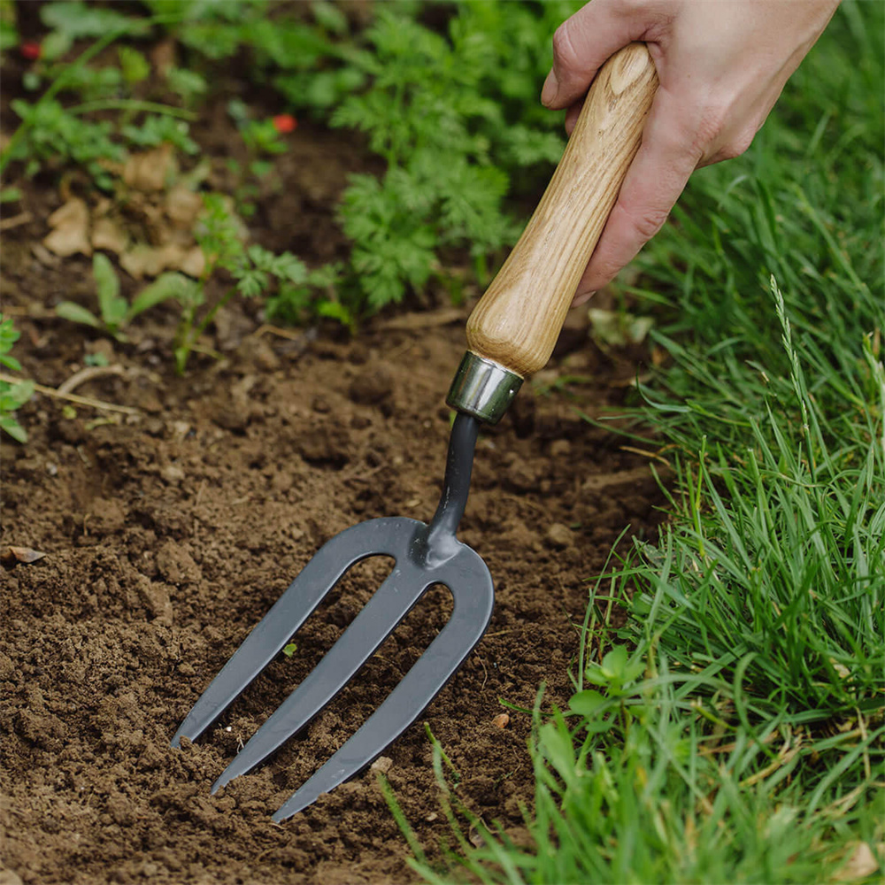 Garden Forks Stainless Steel Gardening Tool With Woode ( (5)