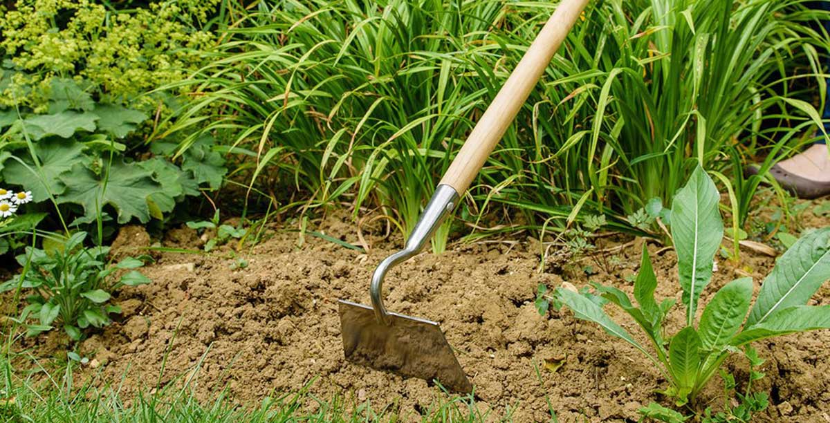 hoes-for-agriculture1.jpg