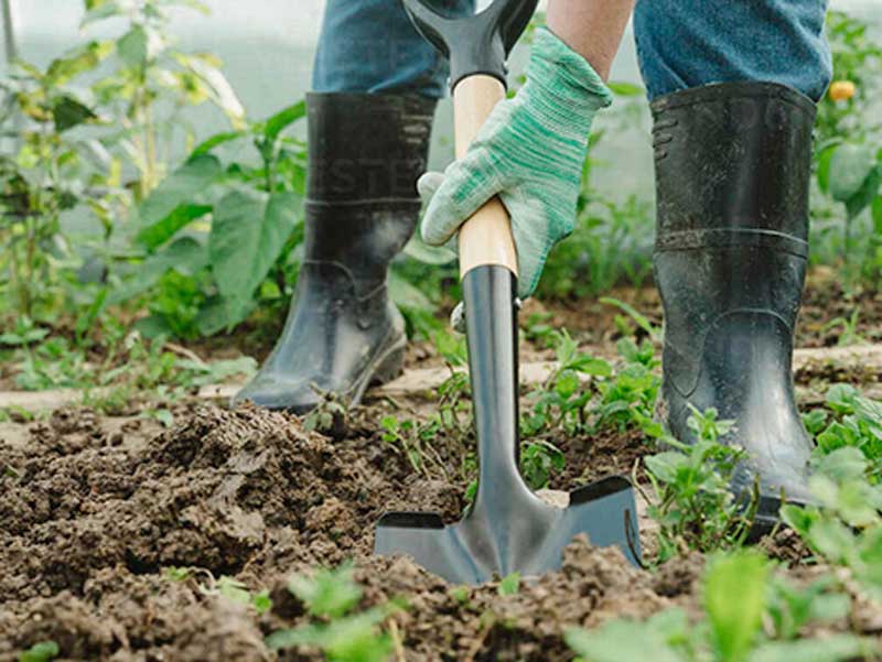 Why choose a shovel as your first choice for farm tools?