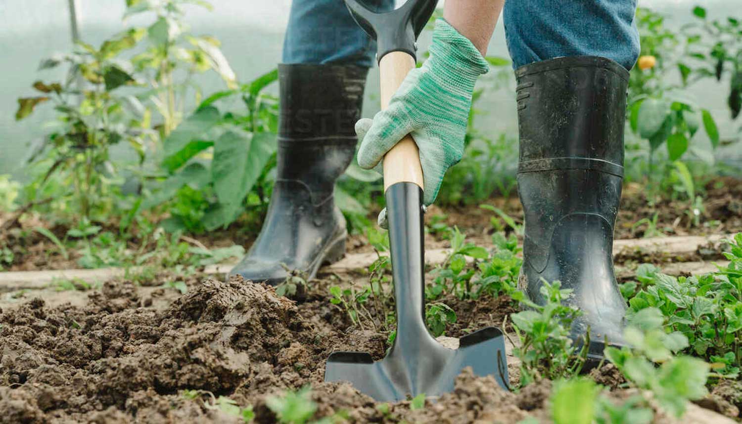 shovel-with-wood-handle.jpg