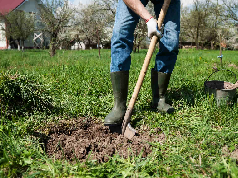 What are the important tips for the maintenance and upkeep of a shovel?
