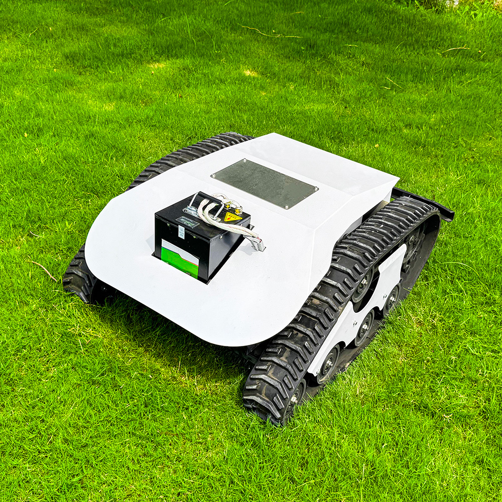Robotic Grass Cutter