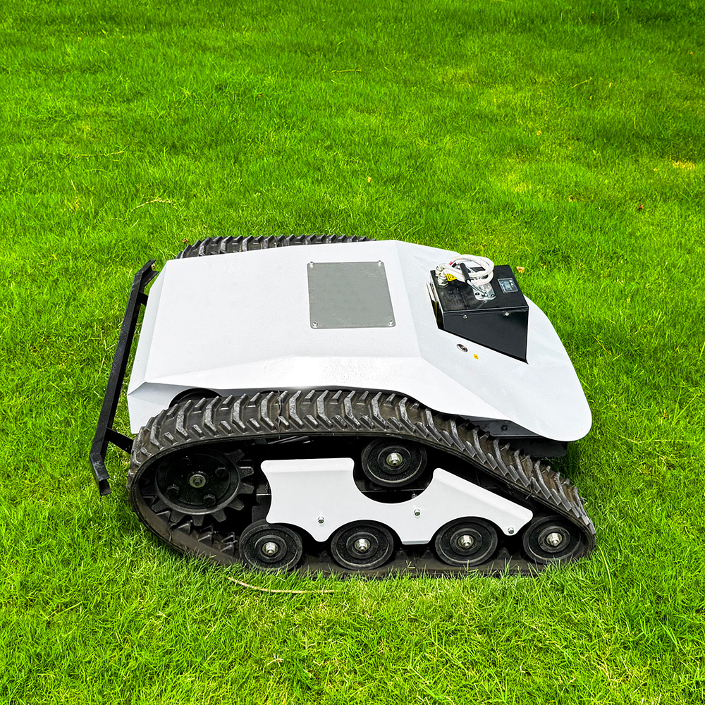 Small Electric Lawn Mower.jpg