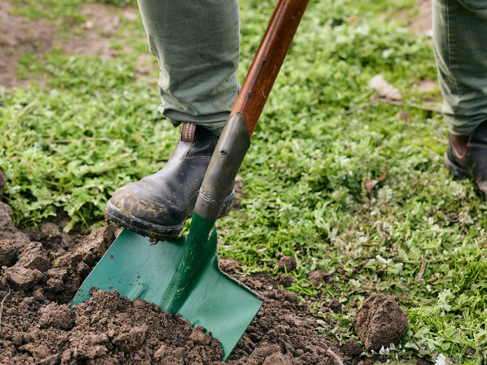 How to effectively improve soil using a shovel?