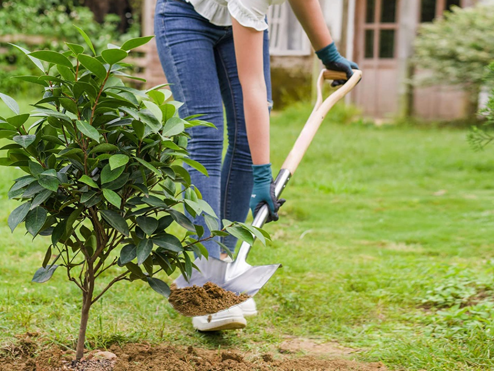 What is the best shovel to get in dig?