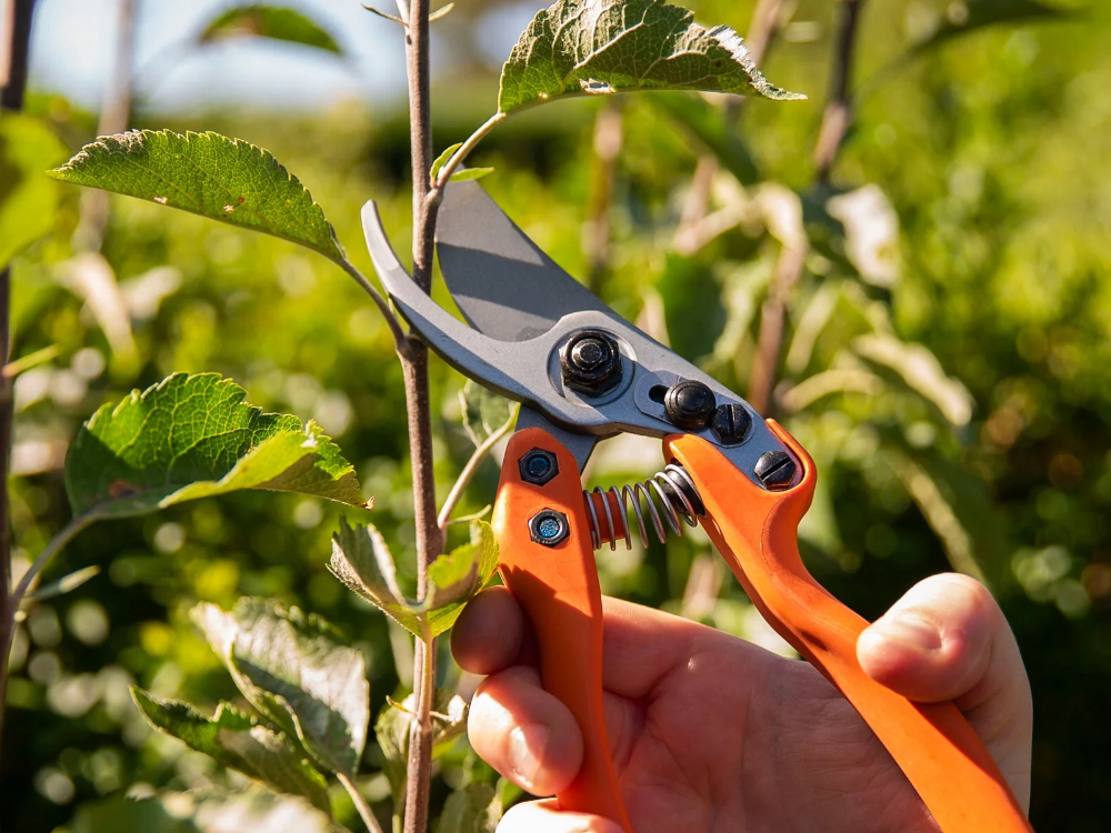 Why use pruning shears instead of scissors?
