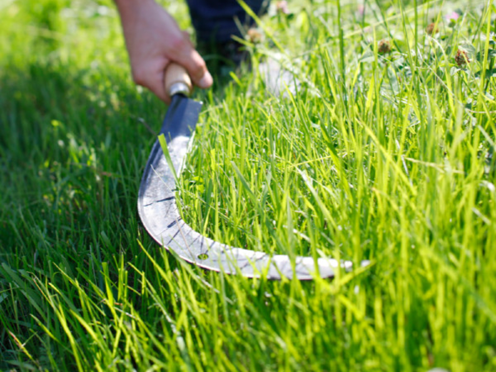What is a Sickle Tool Used for?