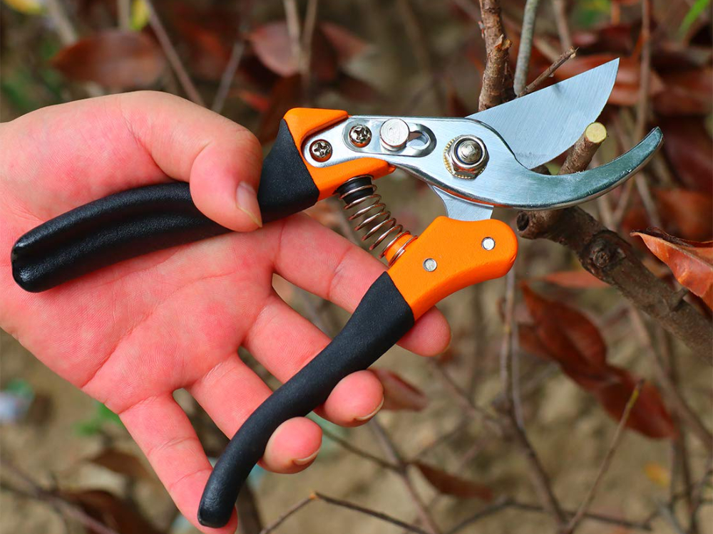 What does a pruning shear do?