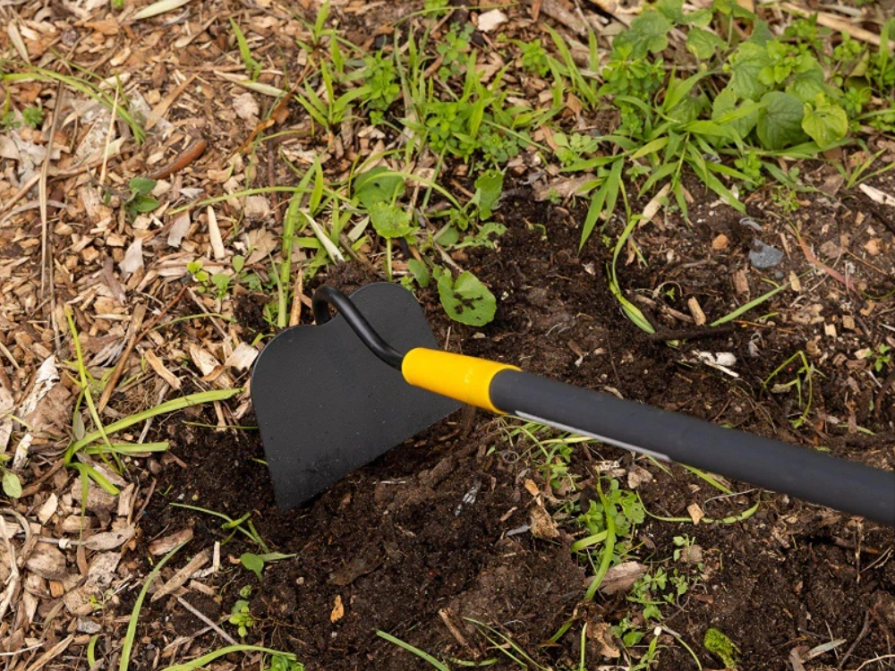 What hoe is best for weeding?
