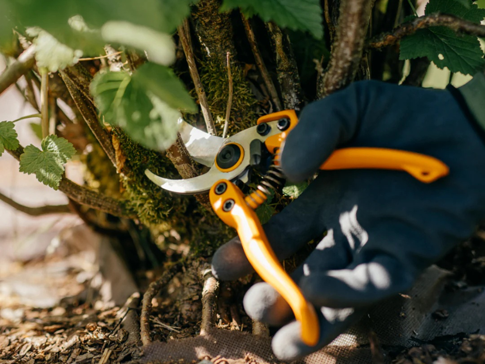 What is the best type of pruning shears?