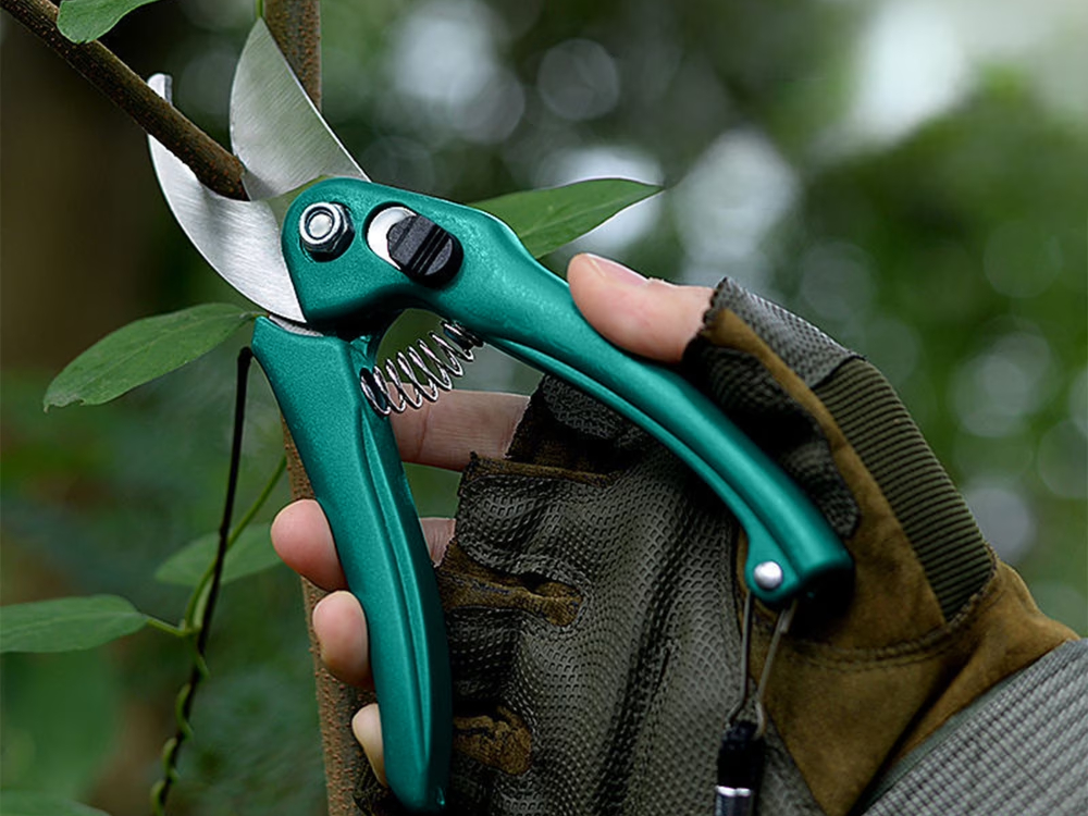 What is the best tool for pruning small branches?