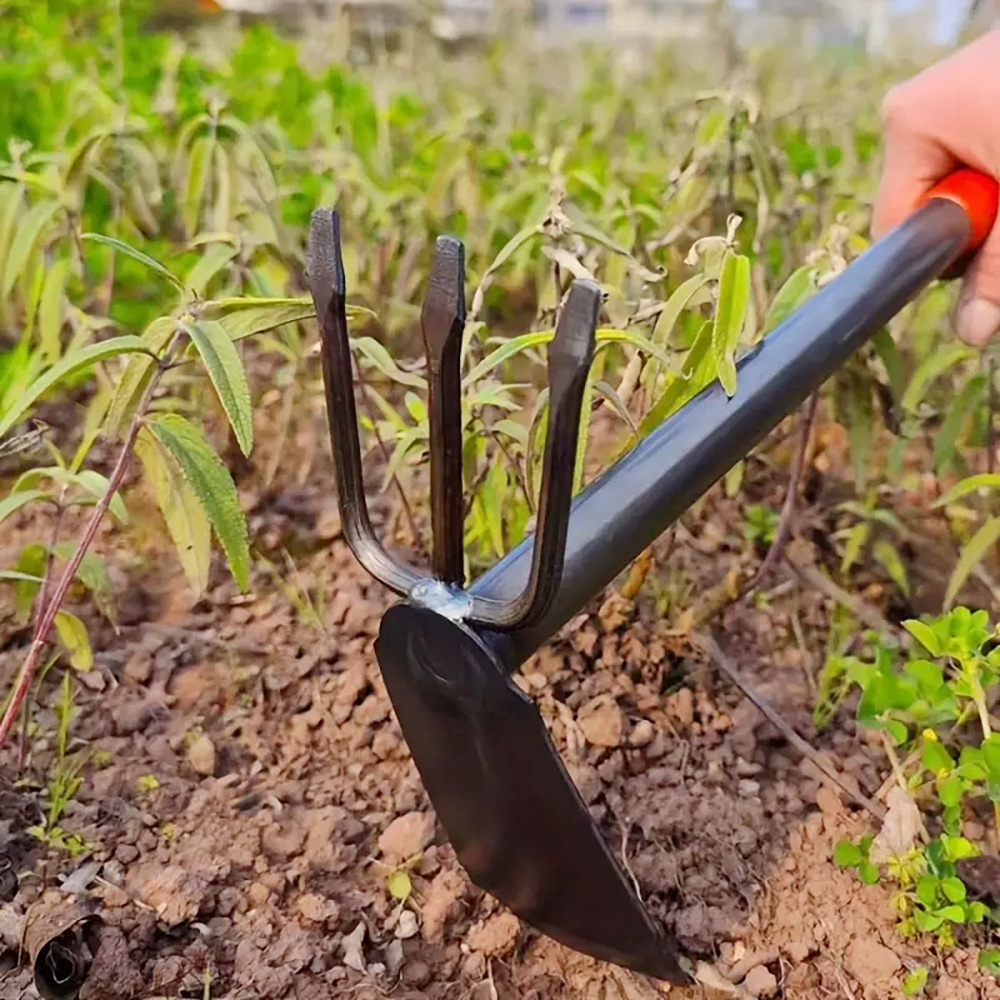 3 prong hoe fork.jpg