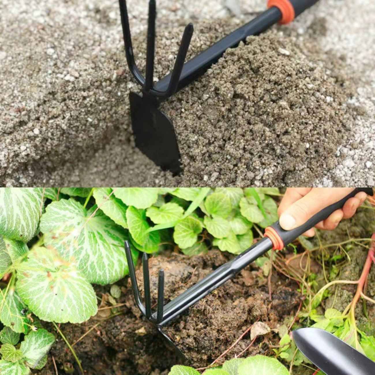 fork hoe garden tool
