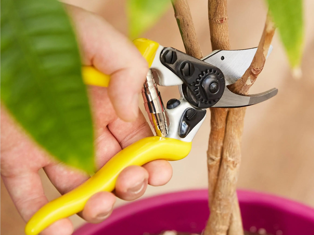 What is a bypass pruning shears?