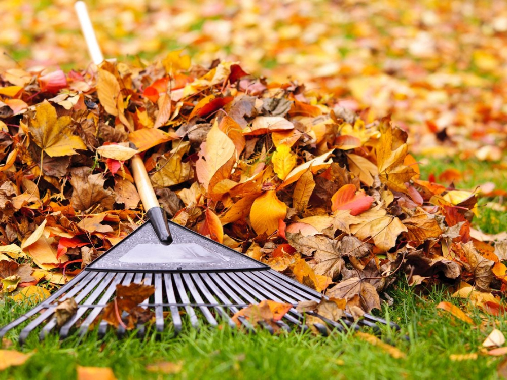 What is a good quality garden rake?