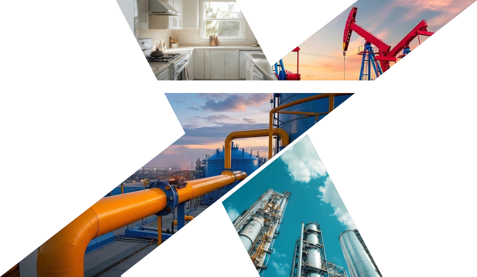 Xinhaosi Gas Detector Manufacturer About Us