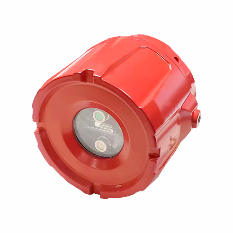 FLAMMENMELDER IFD2020 DUAL IR-UV XHS.png